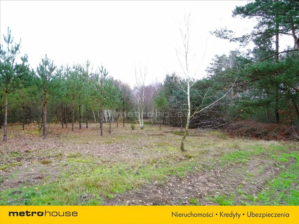 Działka 4 900,00 m², oferta nr , CEBU865, Słupia