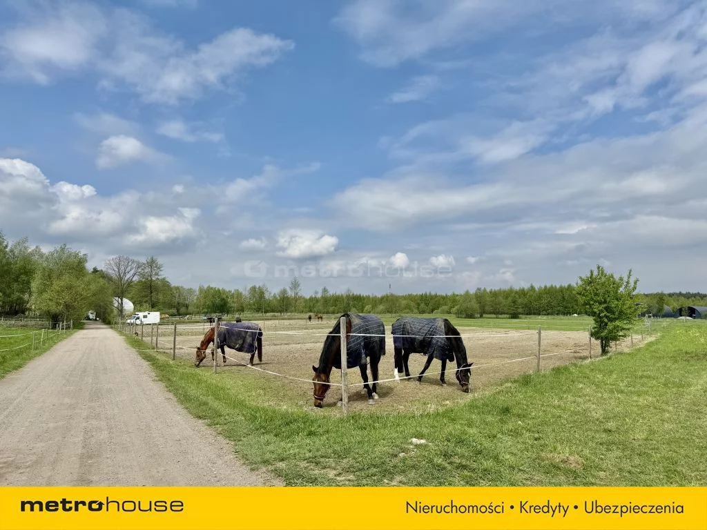 Działka 4 800,00 m², oferta nr , SGGOHO311, Świętochów, Spokojna