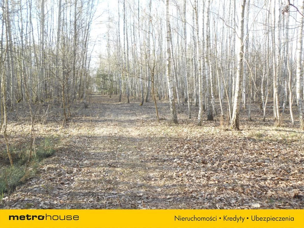 Działka 10 700,00 m², oferta nr , SGCEVU266, Stachlew