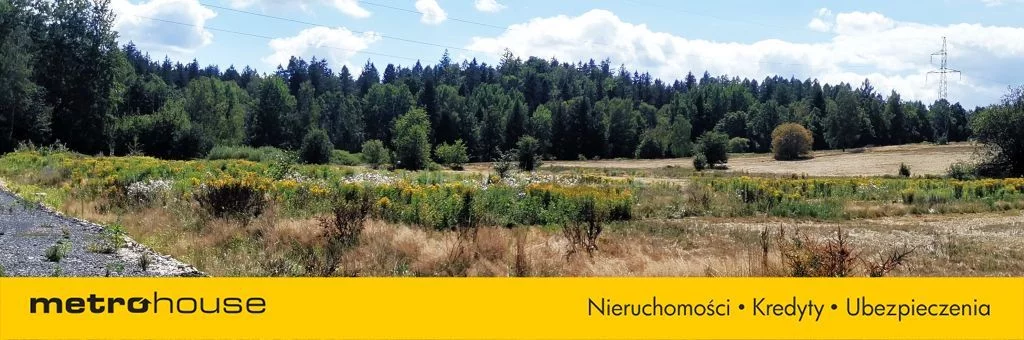 Działka 1 519,00 m², oferta nr , SGTIBA661, Staniszów
