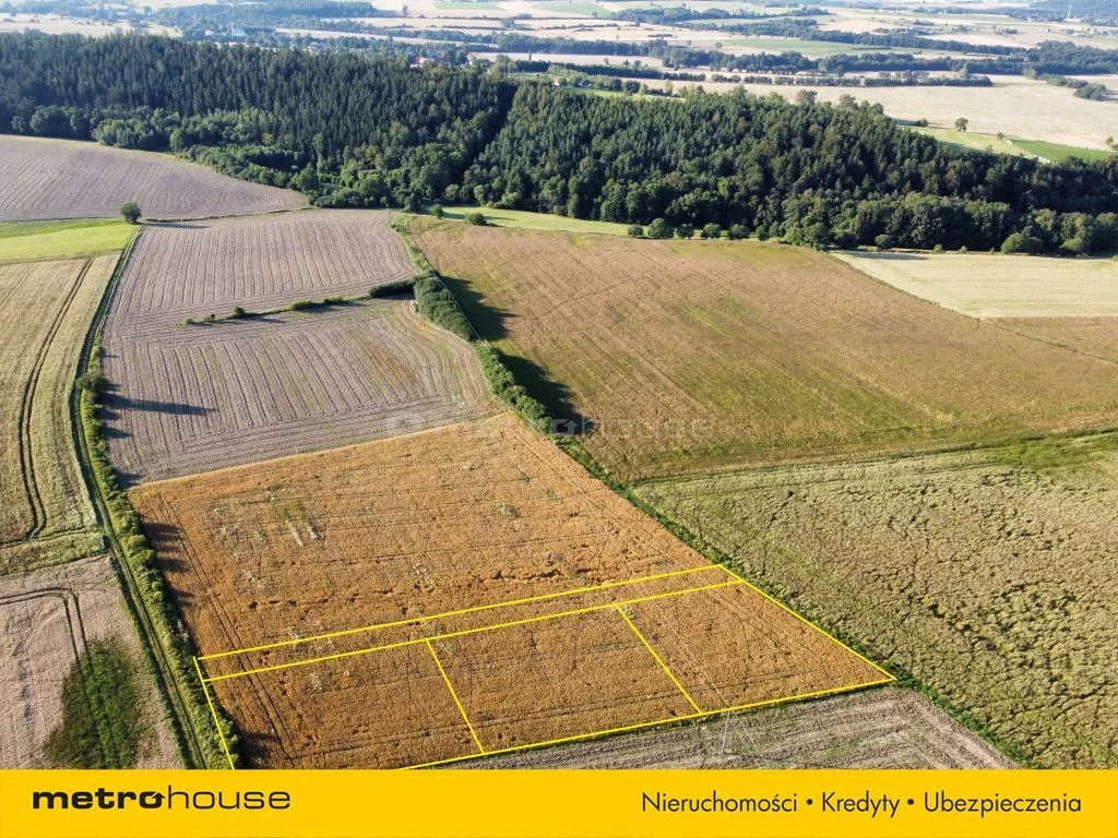 Działka 1 500,00 m², oferta nr , SGCEKI294, Stara Łomnica