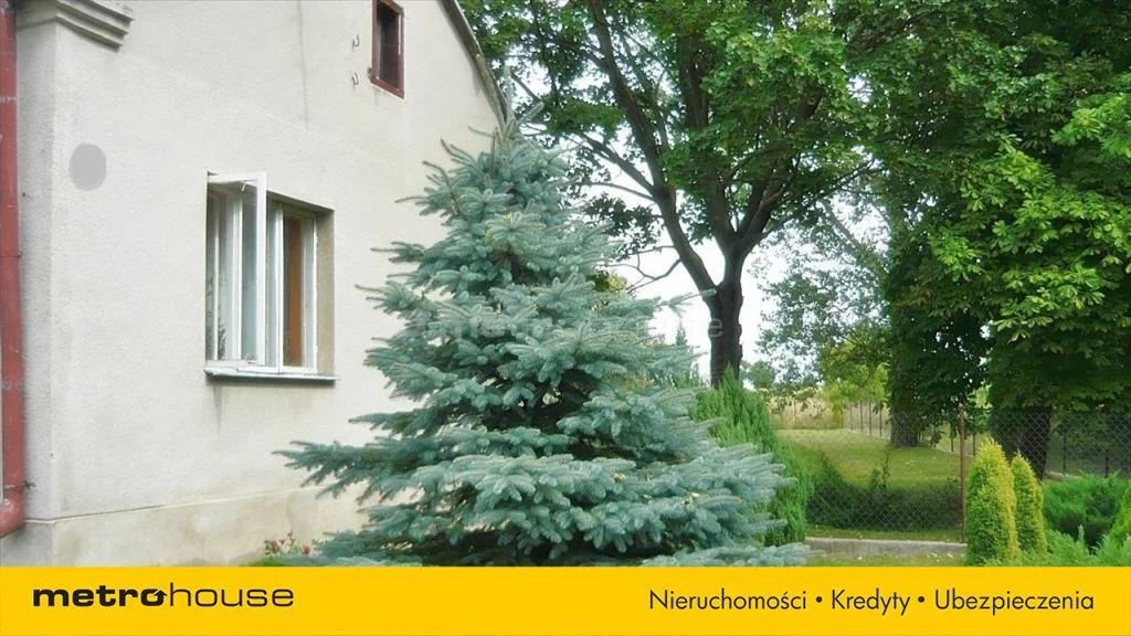 Działka 26 900,00 m², oferta nr , QASI419, Stare Kosiny