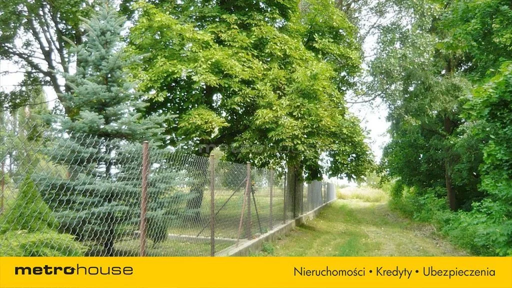 Działka 26 900,00 m², oferta nr , QASI419, Stare Kosiny