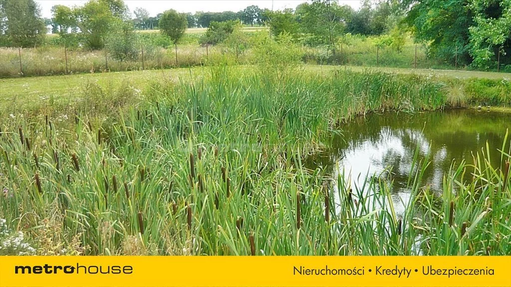 Działka 26 900,00 m², oferta nr , QASI419, Stare Kosiny