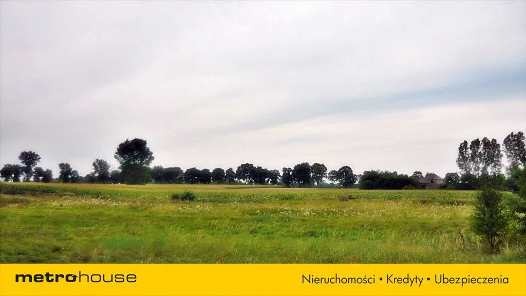 Działka 26 900,00 m², oferta nr , QASI419, Stare Kosiny
