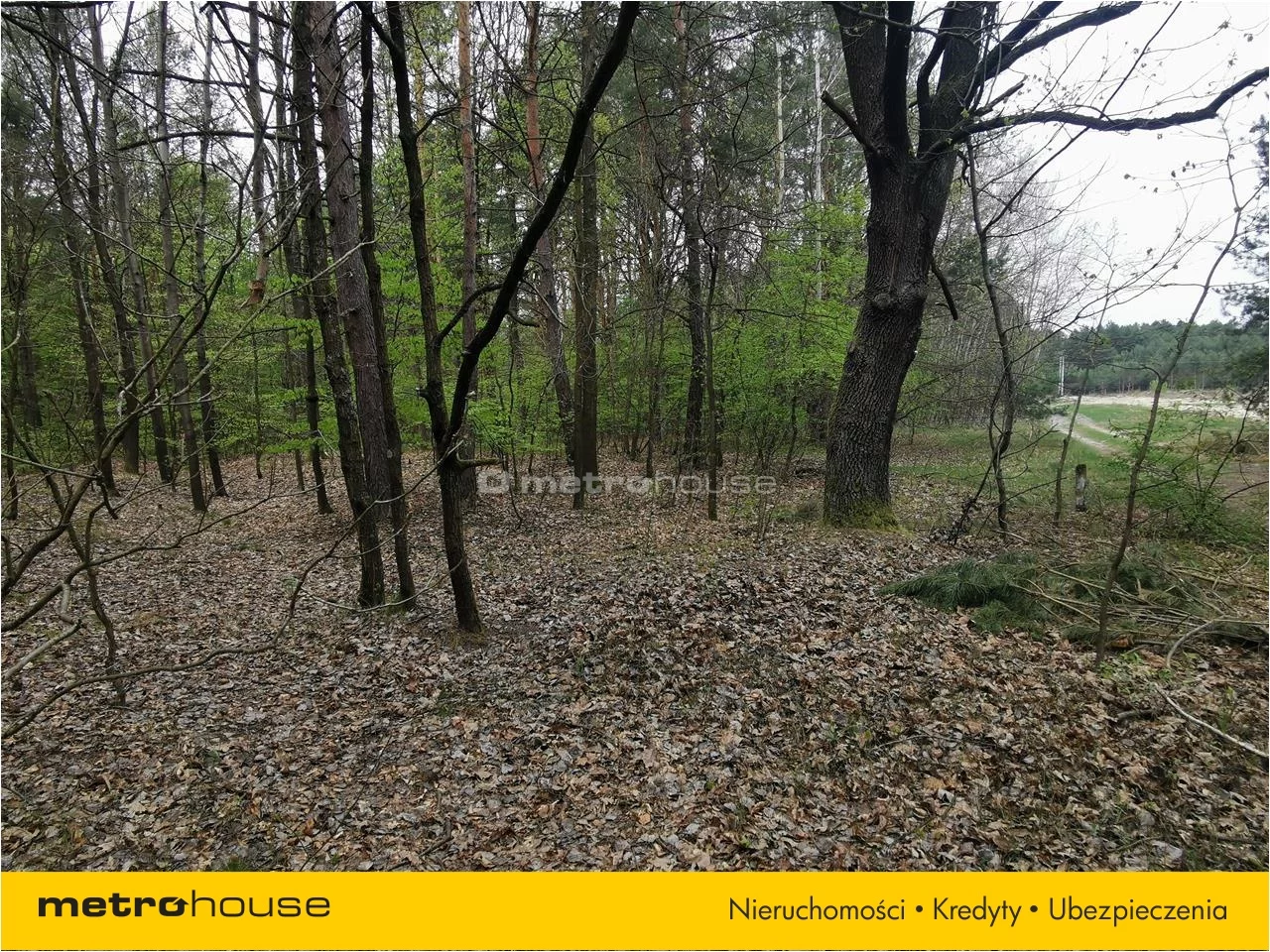 Działka 1 700,00 m², oferta nr , XOPY530, Stare Miasto
