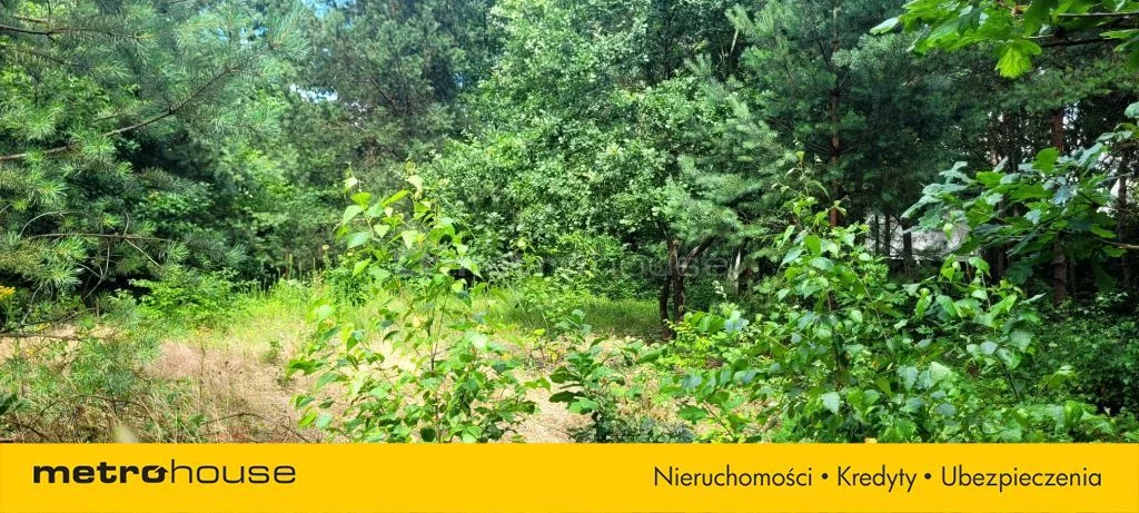 Działka 603,00 m², oferta nr , SGMOPY269, Stare Załubice