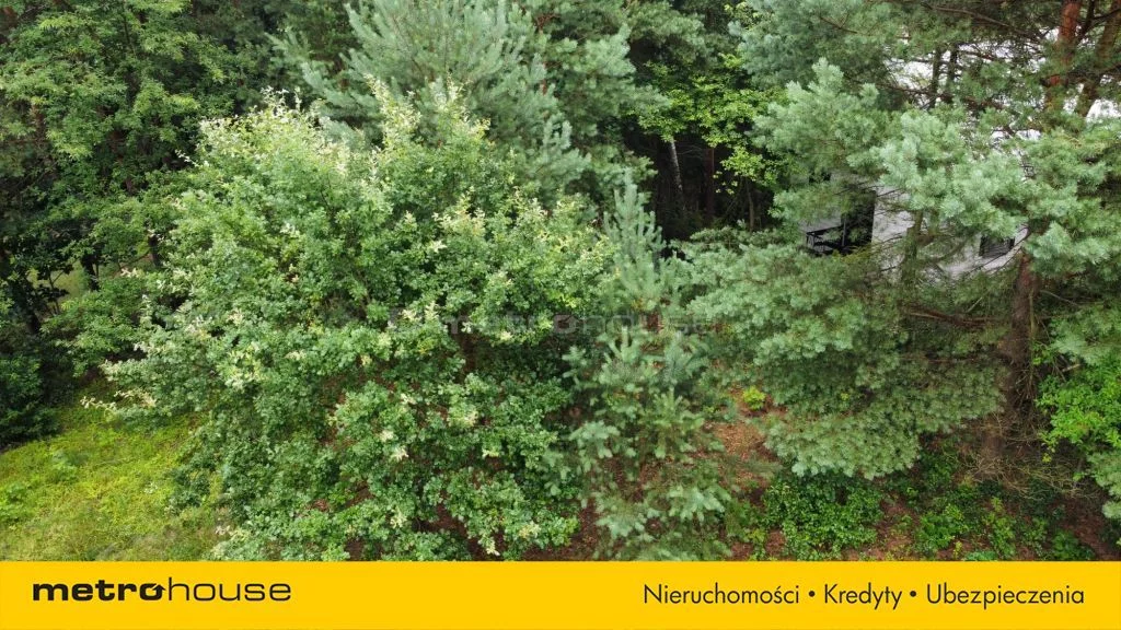 Działka 603,00 m², oferta nr , SGMOPY269, Stare Załubice