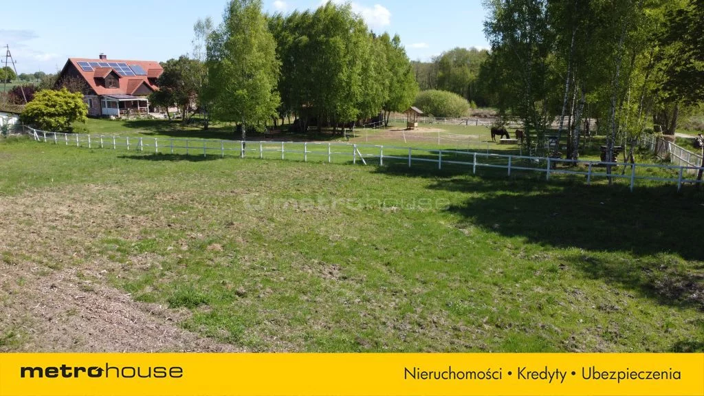 SGKIDI867 - zdjęcie nr 1