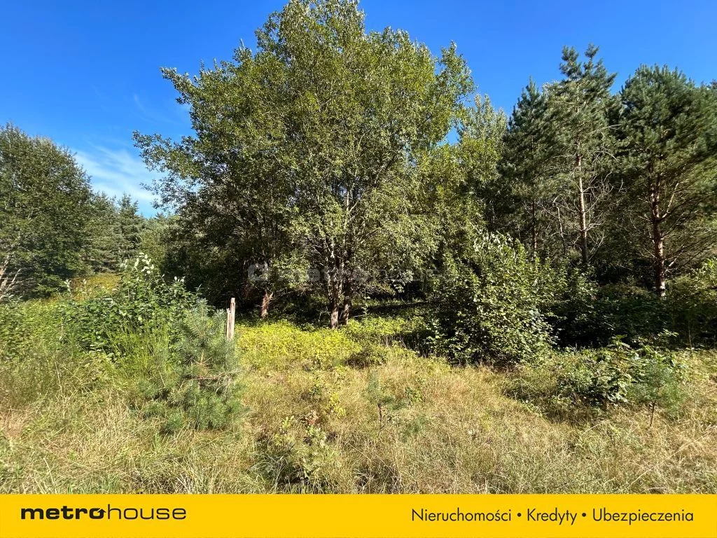 Działka 6 100,00 m², oferta nr , SGCUJA540, Stary Borek