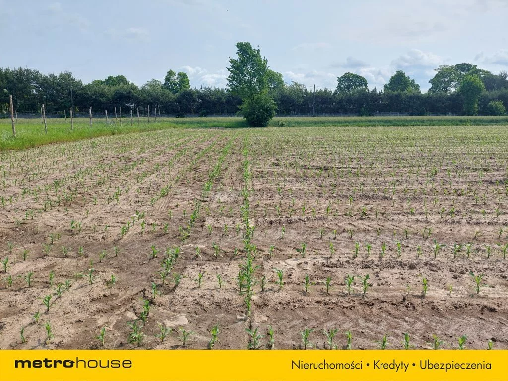 Działka 1 195,00 m², oferta nr , SGNEPE132, Stefanów