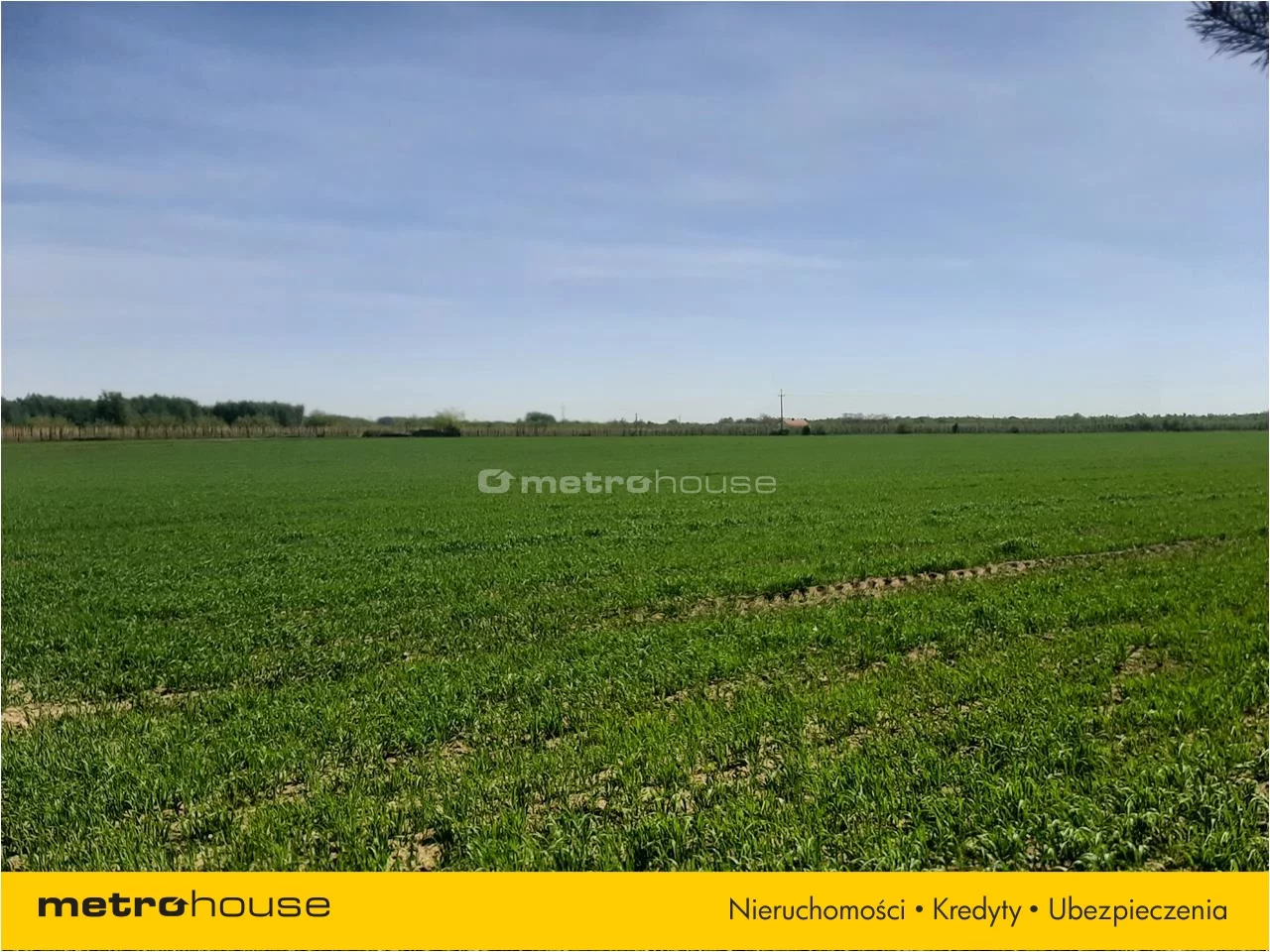 Działka 43 900,00 m², oferta nr , CONY221, Suchodół