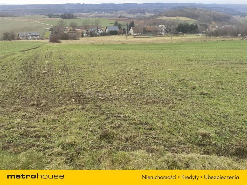 Działka 6 569,00 m², oferta nr , GANE117, Suszyna