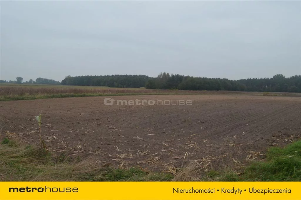 Działka 15 800,00 m², oferta nr , WYCU428, Świące