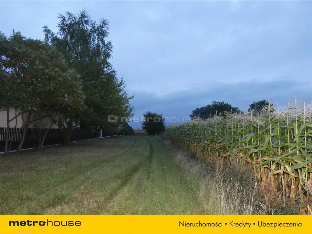 Działka 1 730,00 m², oferta nr , DOCO537, Święcice