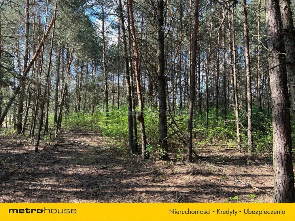 Działka 4 750,00 m², oferta nr , PAKE590, Świniotop
