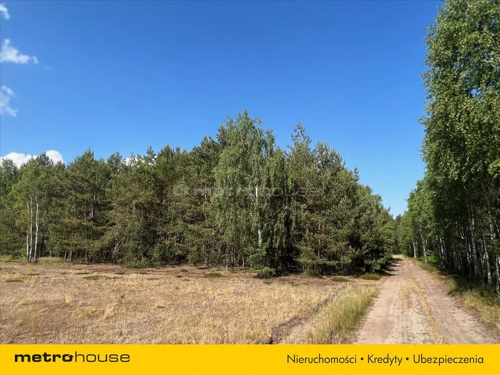 Działka 4 750,00 m², oferta nr , PAKE590, Świniotop