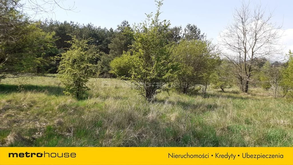 Działka 21 233,00 m², oferta nr , SGKAMU943, Żelków-Kolonia, Swoboda
