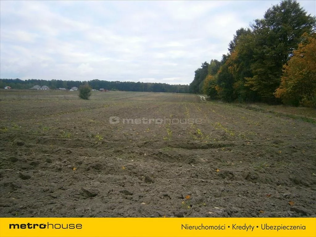 DODE288 - zdjęcie nr 0