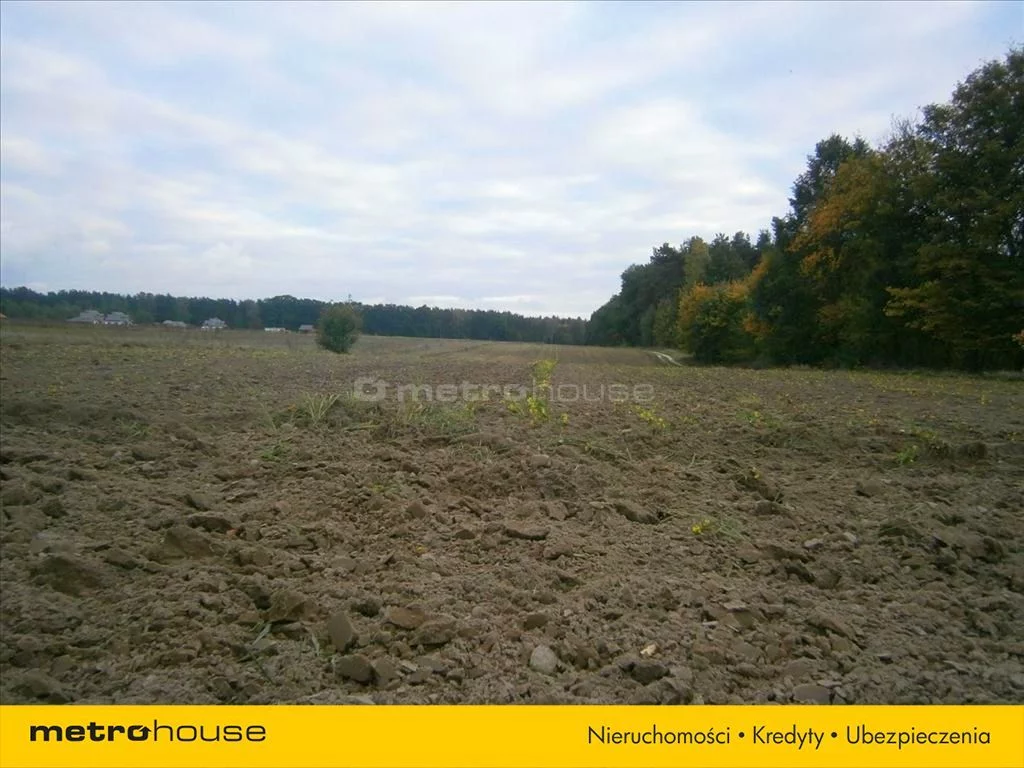 DODE288 - zdjęcie nr 1