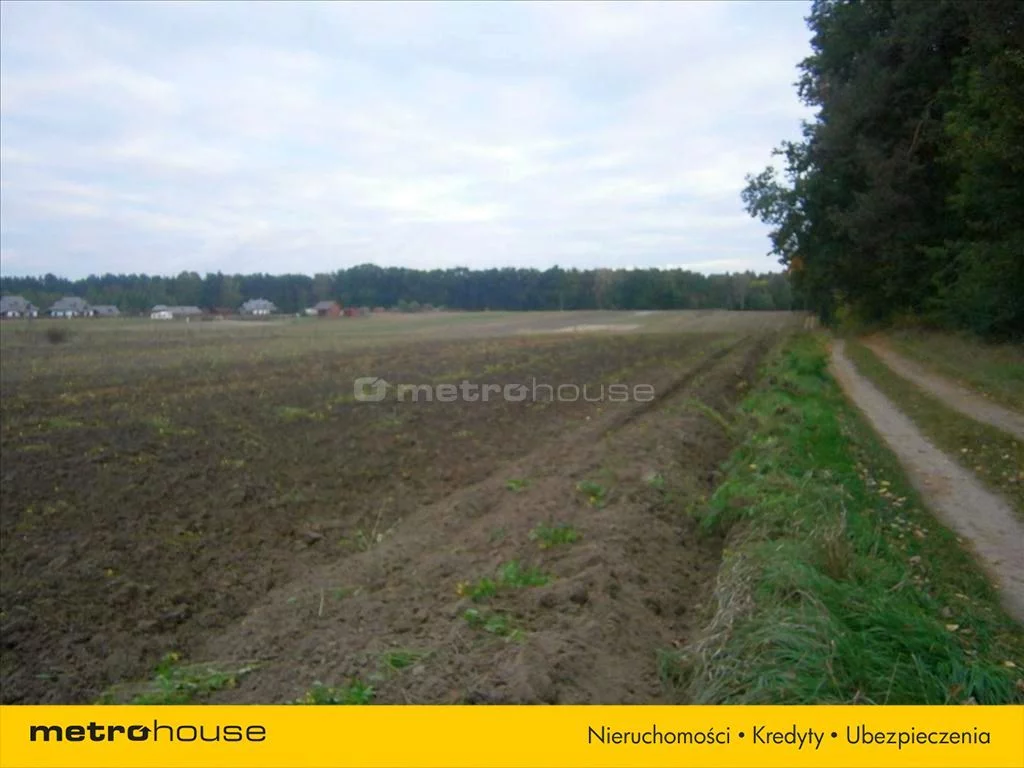 DODE288 - zdjęcie nr 2