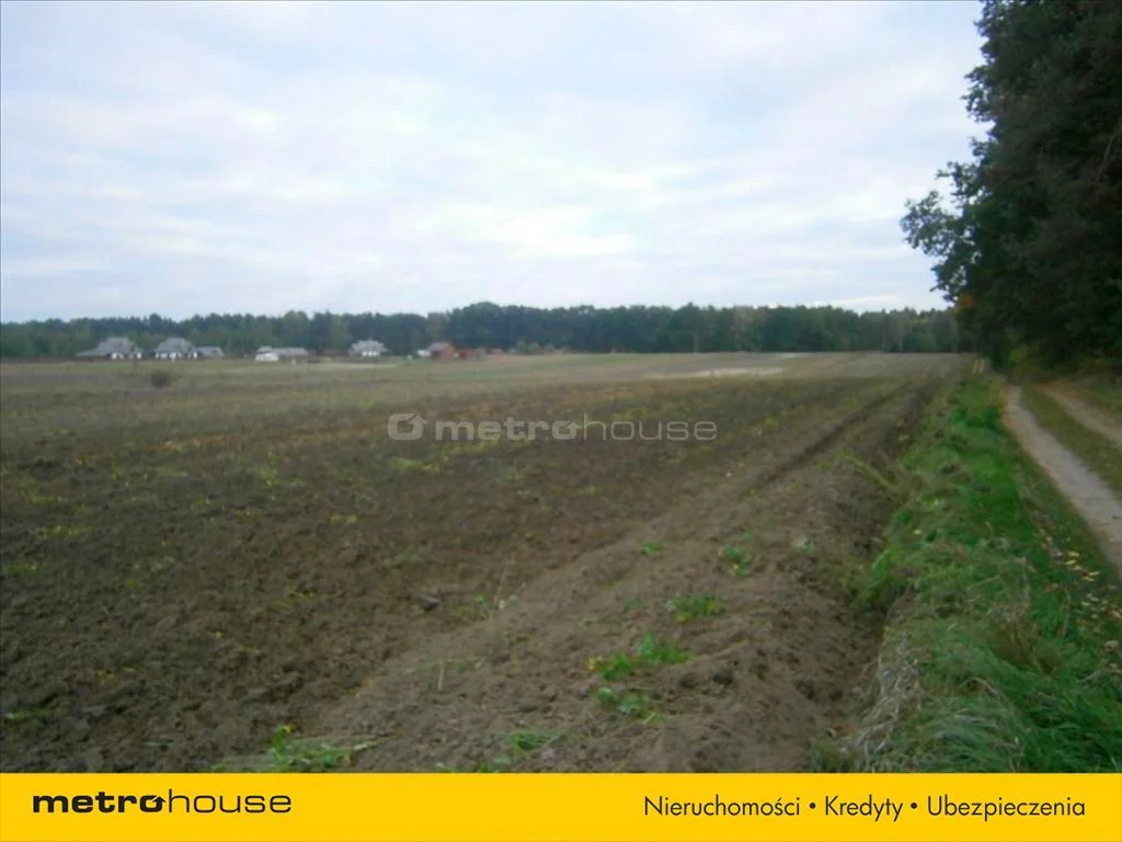 DODE288 - zdjęcie nr 3