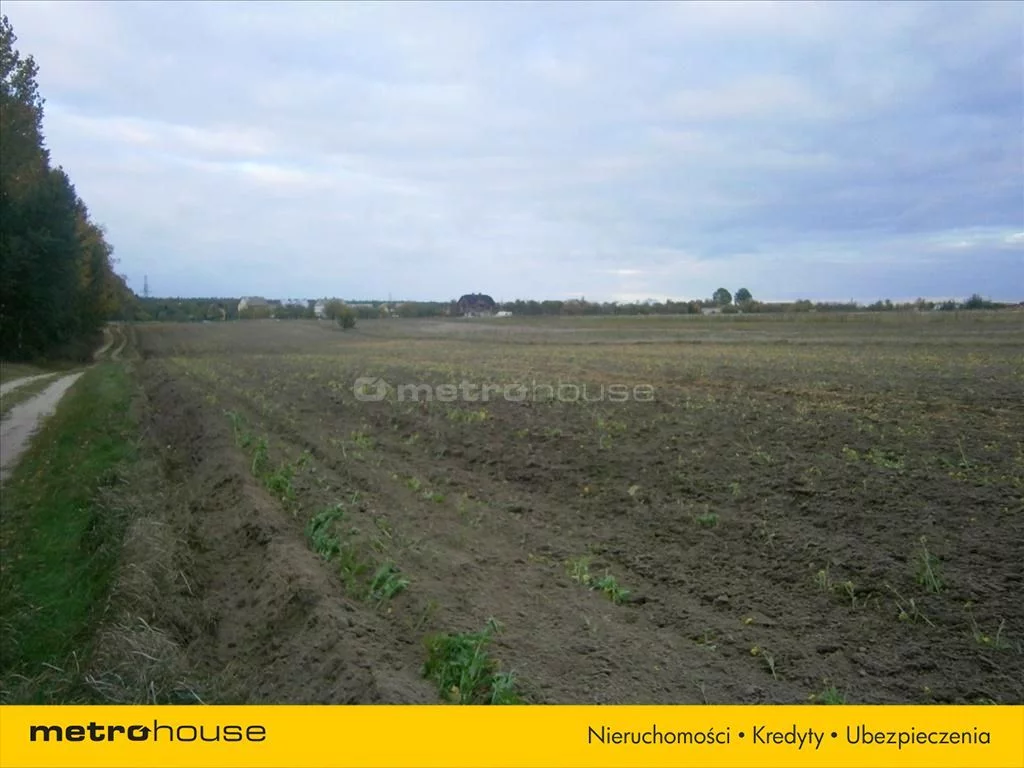 DODE288 - zdjęcie nr 4
