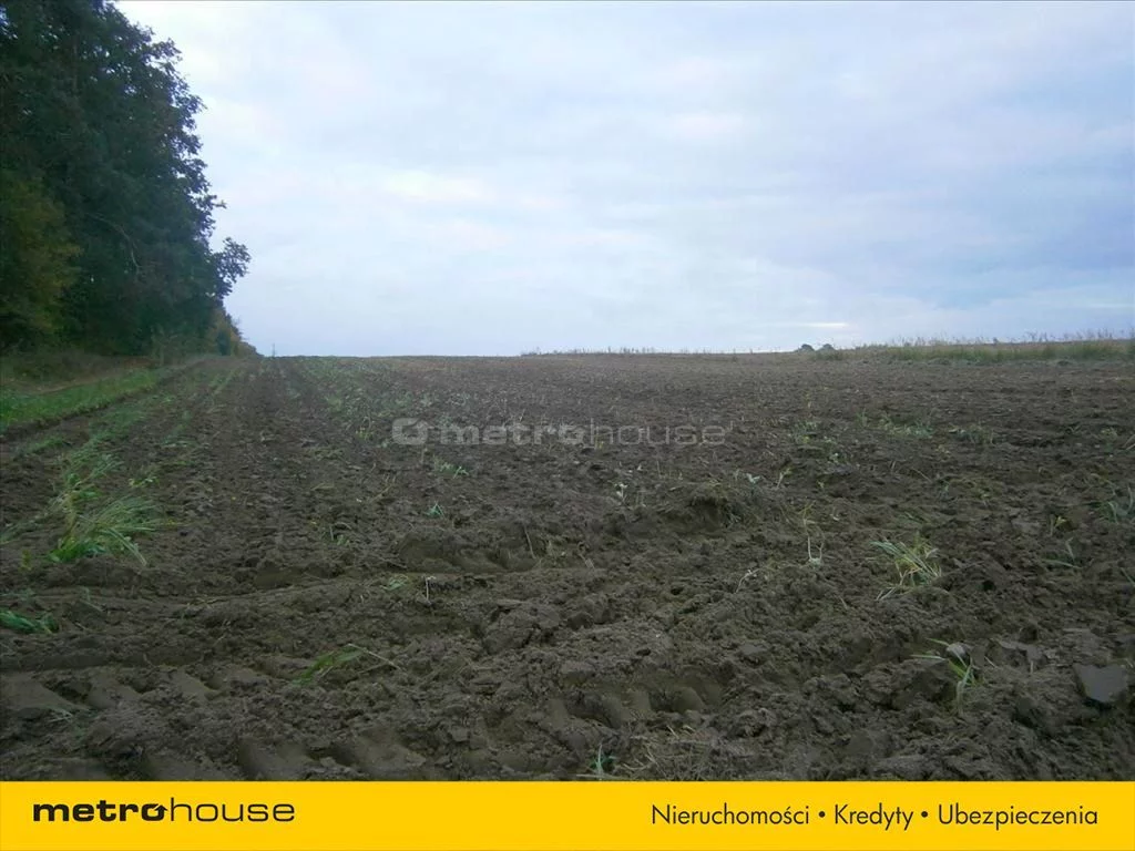 DODE288 - zdjęcie nr 5