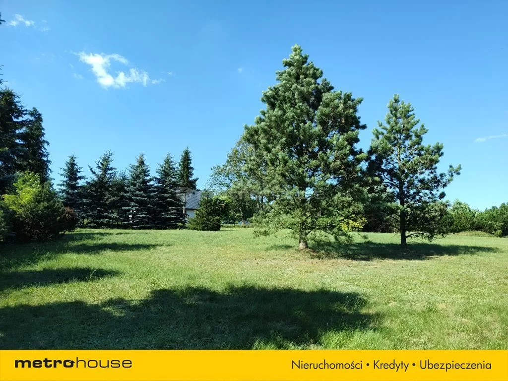 Działka 6 254,00 m², oferta nr , SGLADY523, Szalejów Górny