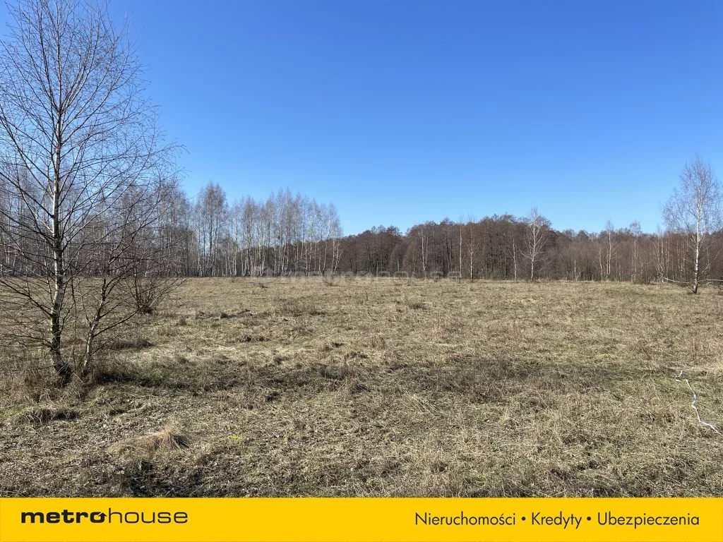 Działka 1 655,00 m², oferta nr , XOHI844, Szczechy Małe