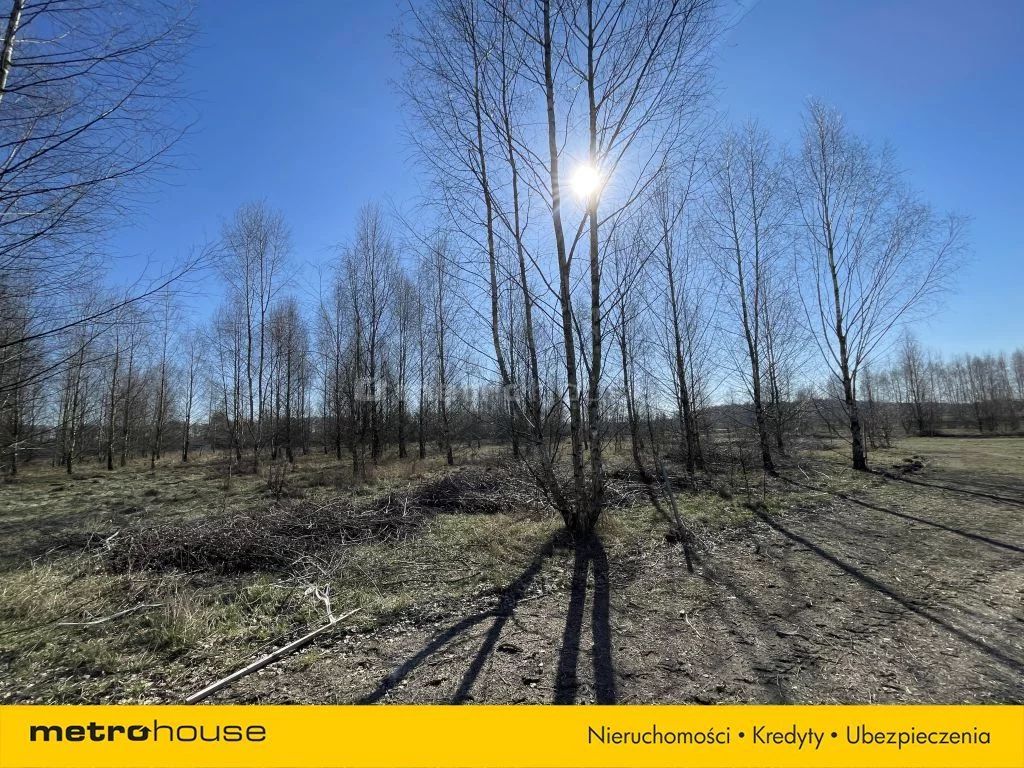Działka 1 655,00 m², oferta nr , XOHI844, Szczechy Małe