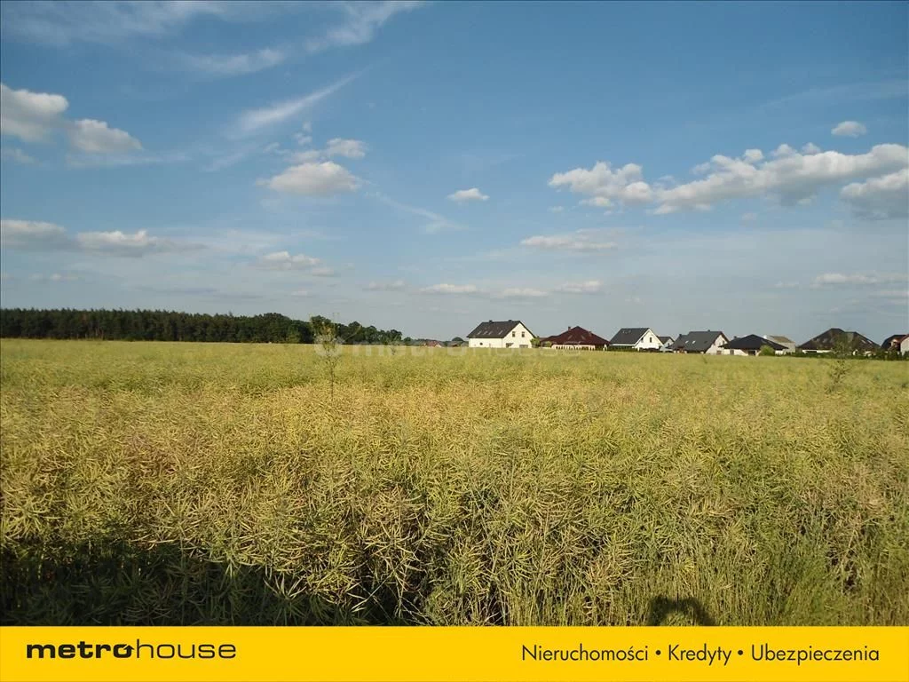 Działka 700,00 m², oferta nr , SEXO644, Szczytniki