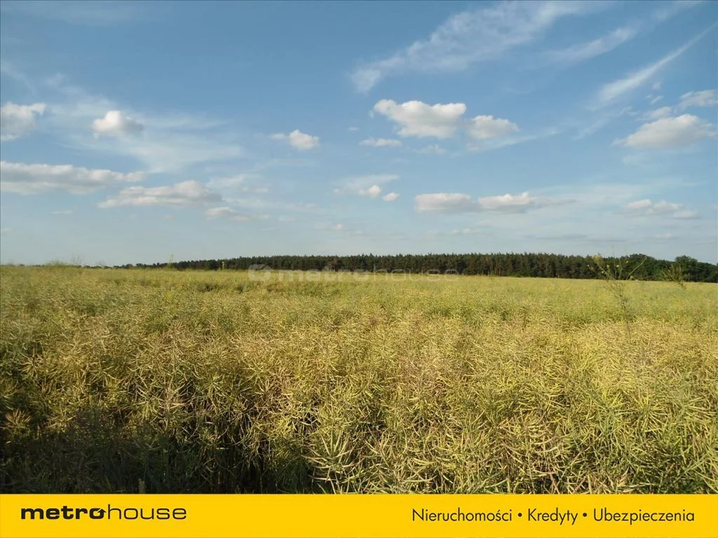 Działka 3 990,00 m², oferta nr , TUTU149, Szczytniki