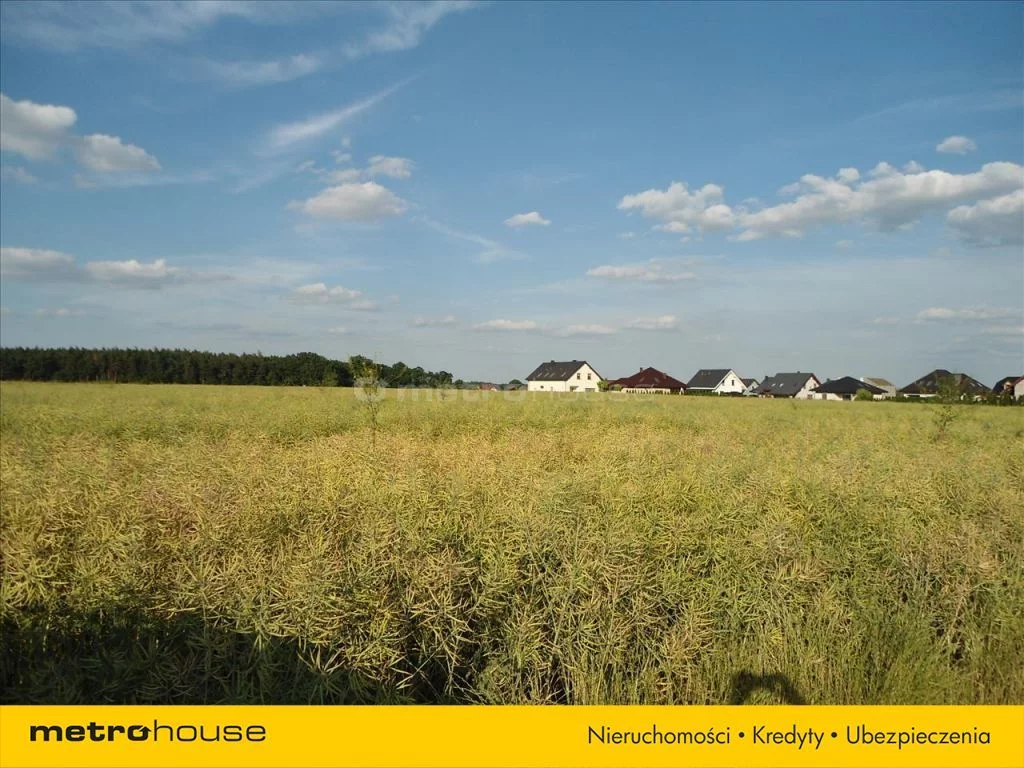 Działka 3 990,00 m², oferta nr , TUTU149, Szczytniki