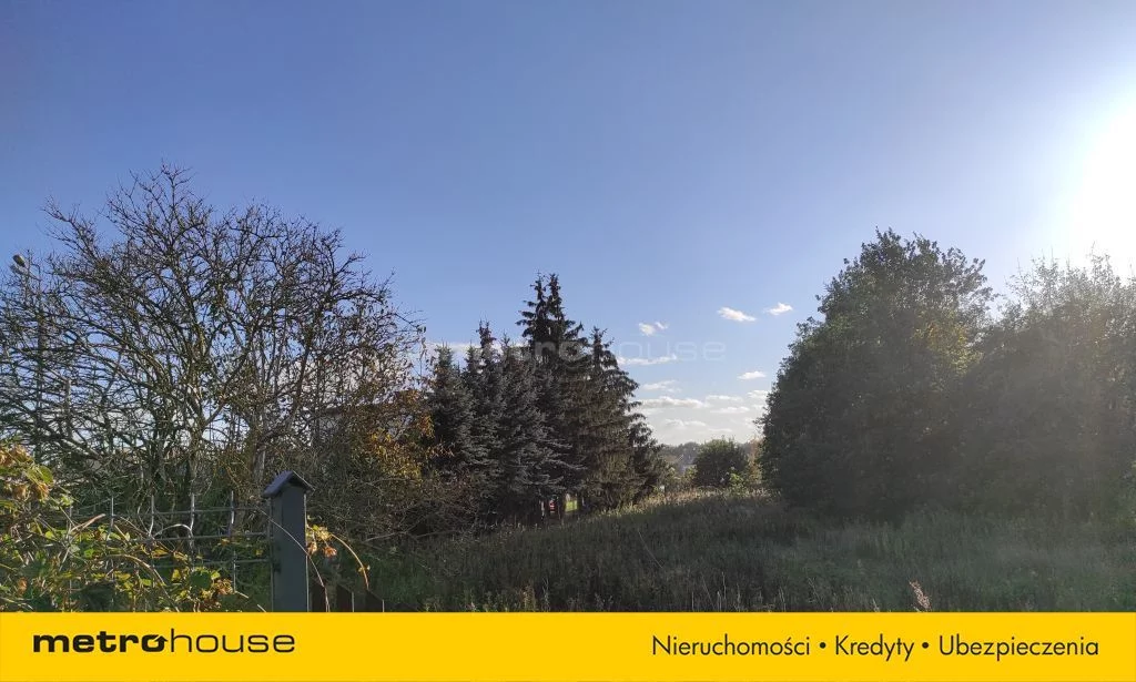 SGSALO601 - zdjęcie nr 3