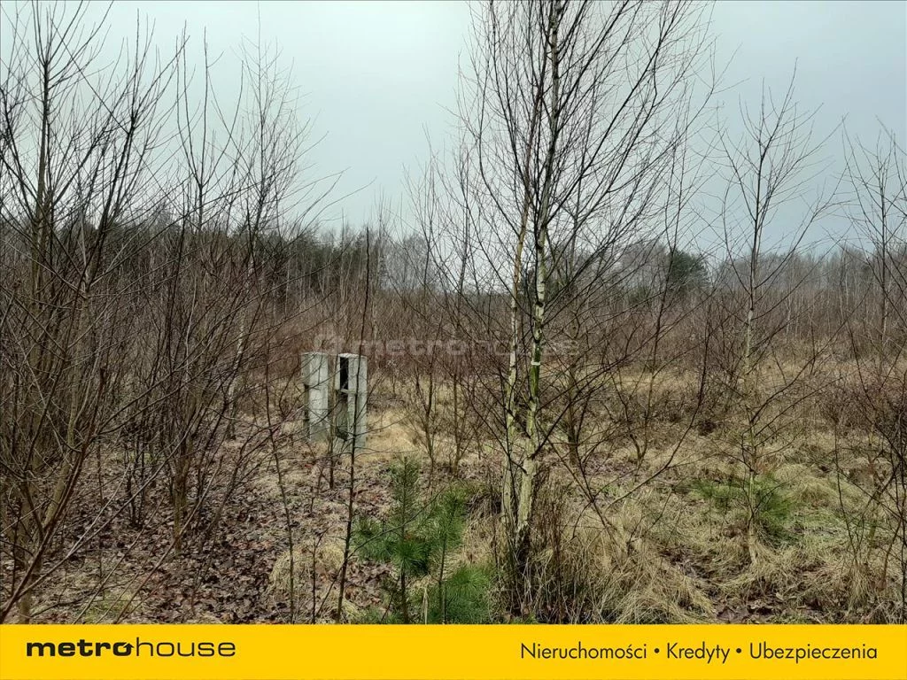 Działka 1 383,00 m², oferta nr , RIHY260, Tomaszew