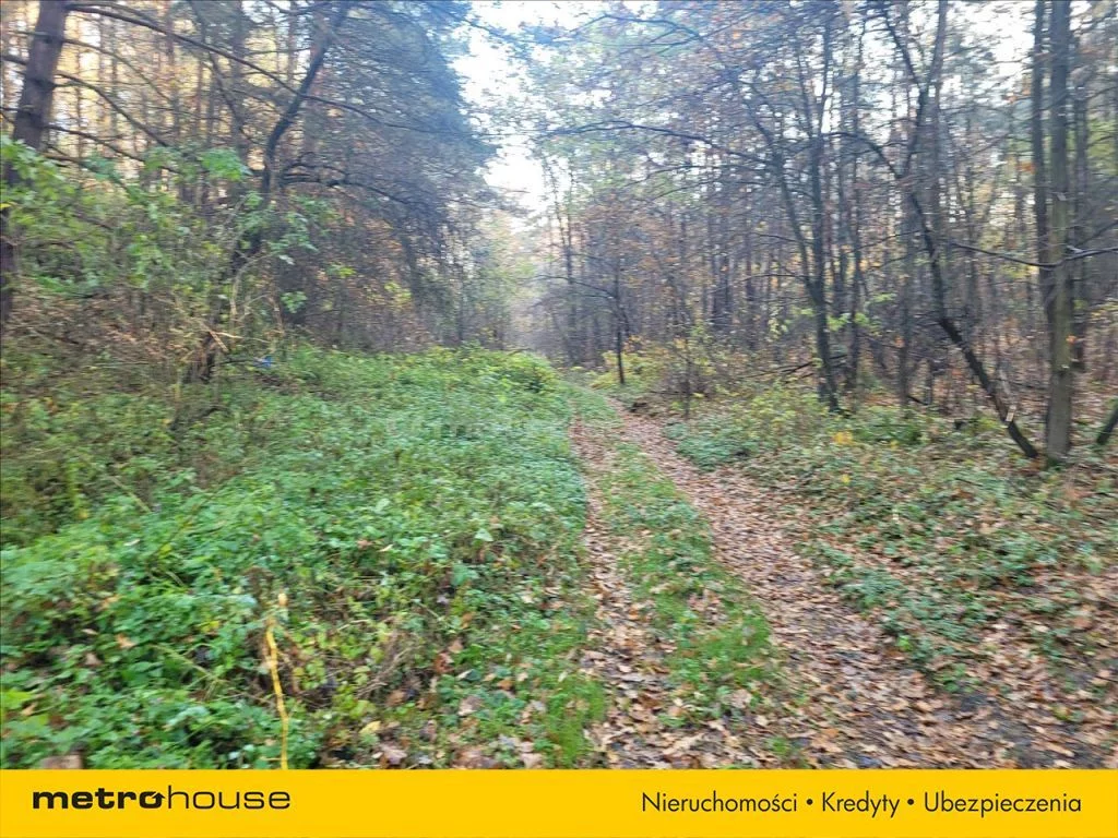 Działka 8 000,00 m², oferta nr , SUTI371, Tomaszów Mazowiecki
