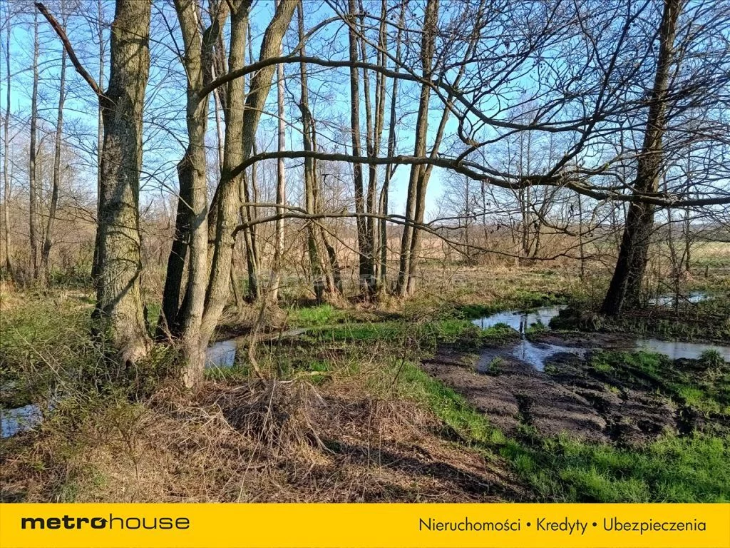 Działka 2 561,00 m², oferta nr , DAXE559, Tomaszów Mazowiecki