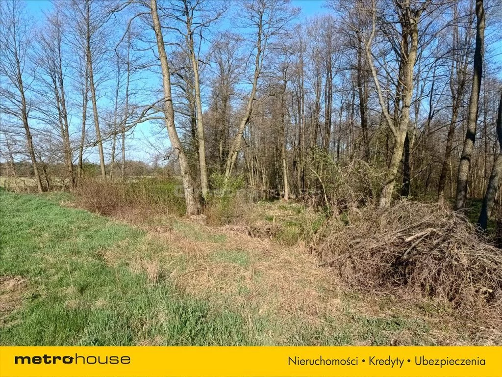 Działka 2 561,00 m², oferta nr , DAXE559, Tomaszów Mazowiecki