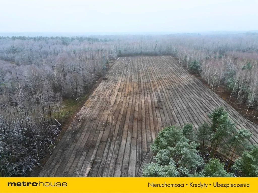 Działka 46 800,00 m², oferta nr , SGFOJY457, Wola Karczewska, Trakt lubelski
