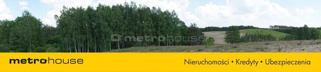 Działka 4 651,00 m², oferta nr , SGGIGE931, Trzebciny