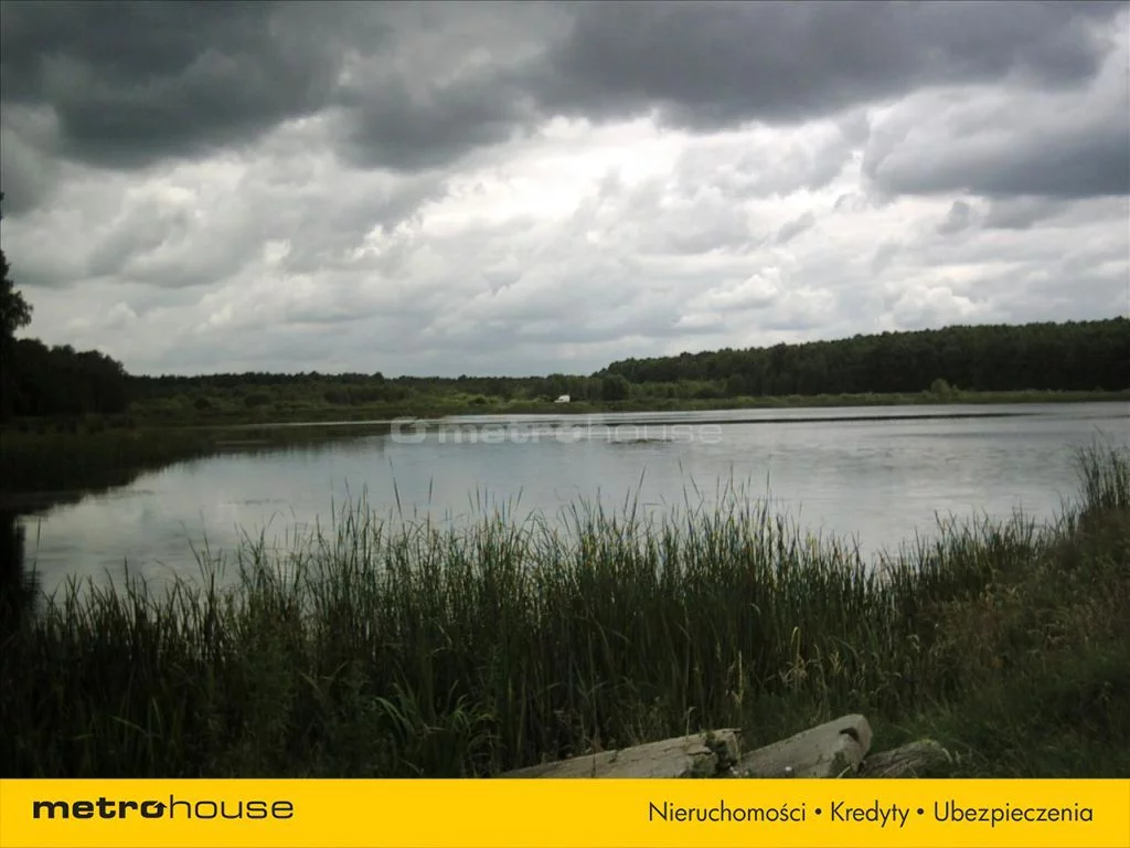 Działka 194 900,00 m², oferta nr , BAPU730, Trzemuszka