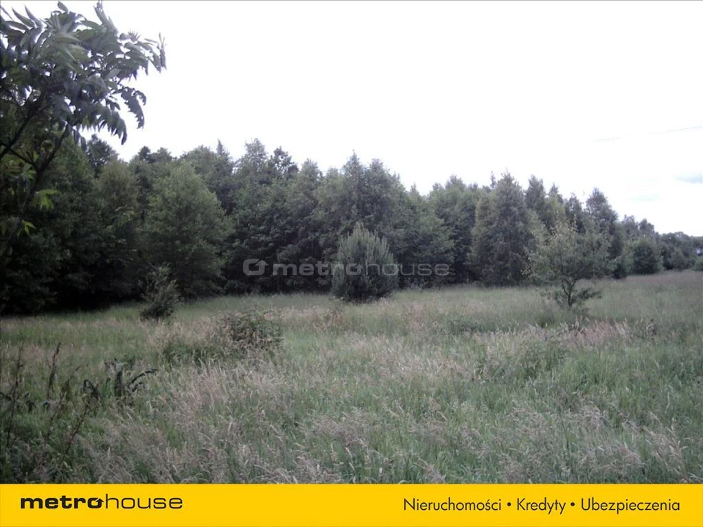 Działka 194 900,00 m², oferta nr , BAPU730, Trzemuszka