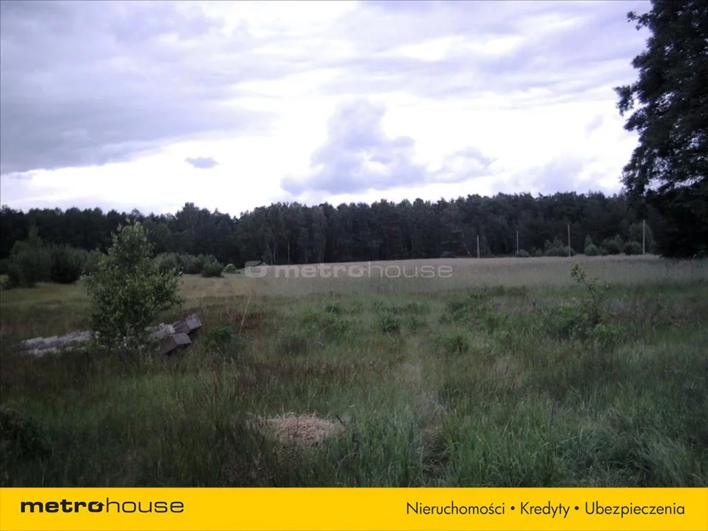 Działka 194 900,00 m², oferta nr , BAPU730, Trzemuszka