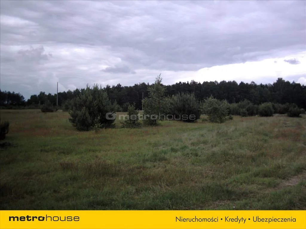 Działka 194 900,00 m², oferta nr , BAPU730, Trzemuszka