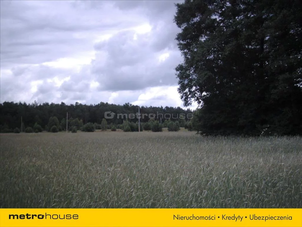 Działka 194 900,00 m², oferta nr , BAPU730, Trzemuszka