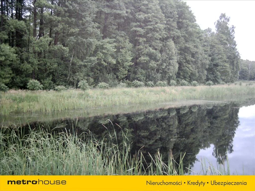 Działka 194 900,00 m², oferta nr , BAPU730, Trzemuszka