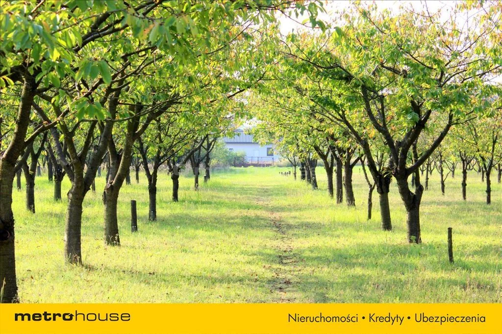 Działka 6 954,00 m², oferta nr , NUBE964, Tuszyn