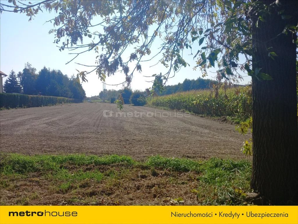 Działka 2 747,00 m², oferta nr , NAXU917, Tuszynek Majoracki