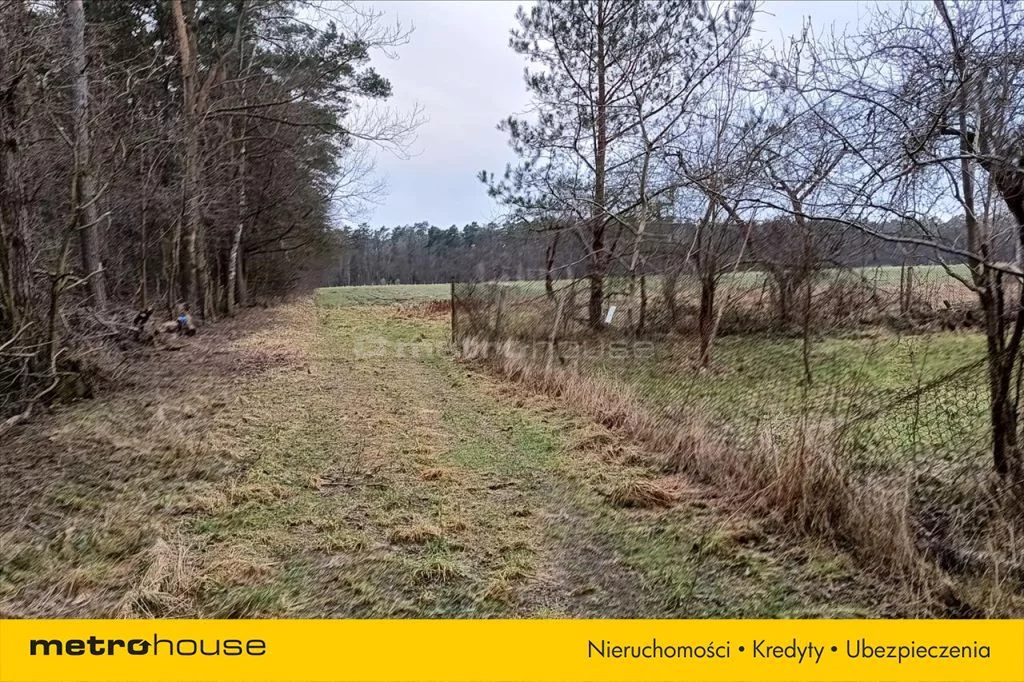 Działka 3 000,00 m², oferta nr , ZUPA869, Ujazd